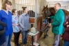 STUDY VETERINARY MEDICINE IN OLSZTYN