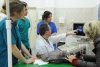 STUDY VETERINARY MEDICINE IN OLSZTYN