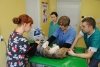 STUDY VETERINARY MEDICINE IN OLSZTYN
