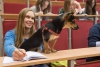 STUDY VETERINARY MEDICINE IN OLSZTYN
