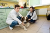 STUDY VETERINARY MEDICINE IN OLSZTYN