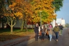 STUDY VETERINARY MEDICINE IN OLSZTYN