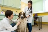STUDY VETERINARY MEDICINE IN OLSZTYN